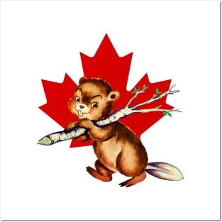 Canadian Beaver working hard Posters and Art